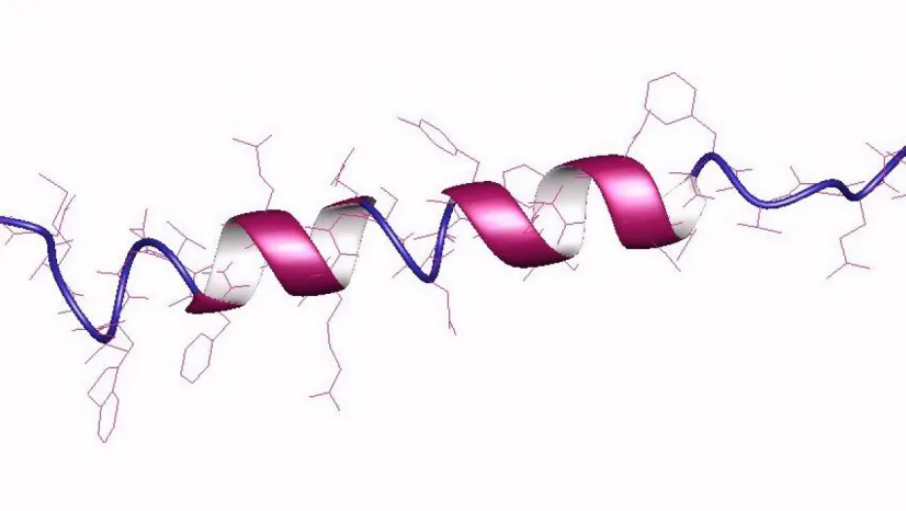 Glukagon Nedir? Vücudumuzdaki Rolü ve Önemi