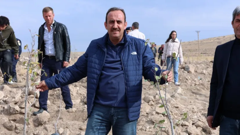 İncesu'da badem ve ayva ağaçları toprakla buluştu