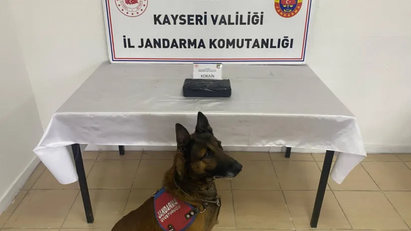 Jandarmadan uyuşturucu operasyonu: 1 kilo 200 gram kokain ele geçirildi