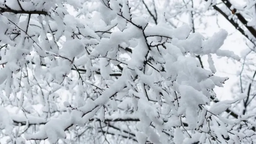 Kayseri'de hafta sonu: Çok bulutlu ve kar yağışlı
