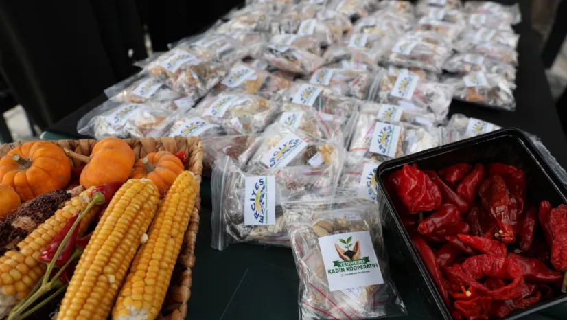 Kocasinan'da tarıma 22 bin 500 ata tohumu desteği