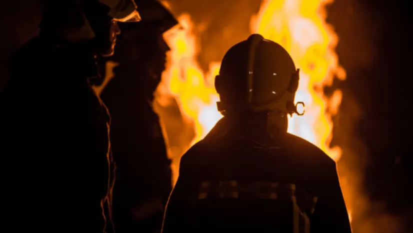 Orman yangınlarında hayatını kaybeden gönüllüler 'şehit' sayılacak