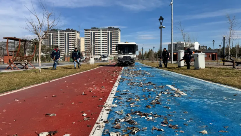 R. Tayyip Erdoğan Millet Bahçesi'nde Kapsamlı Bakım ve Temizlik Çalışmaları