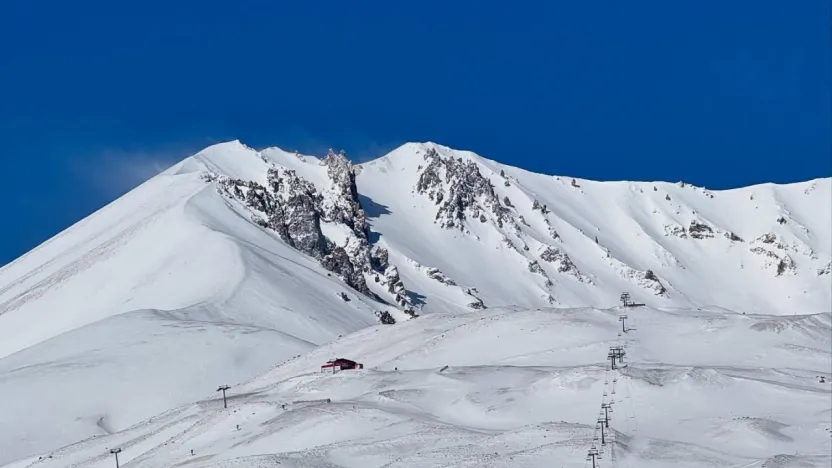 Çadırda ölü bulunan çiftin kimlikleri belli oldu
