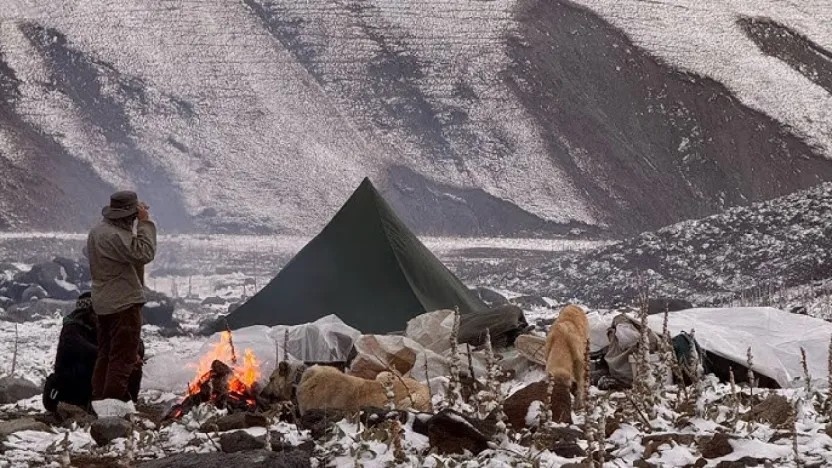 Donma tehlikesi geçiren 5 kampçı kurtarıldı