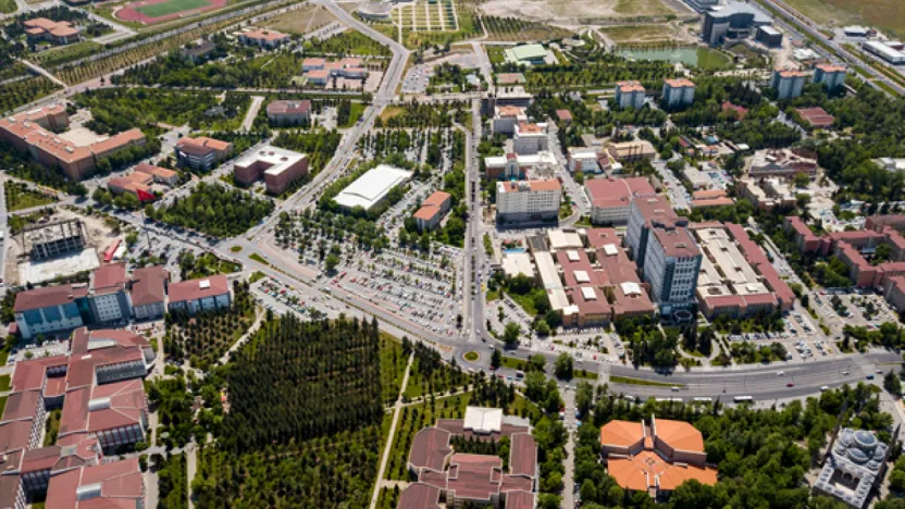 ERÜ, 60 yıllık çam ormanının kesildiğine yönelik iddialara cevap verdi