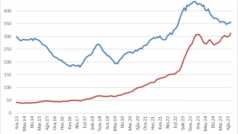 Evcil Hayvan Maması İthalatı, İşlemciyi Geride Bıraktı: Türkiye'nin Ekonomik Öncelikleri Tartışılıyor