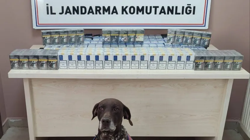 Jandarma ekipleri 640 paket bandrolsüz sigara ele geçirdi