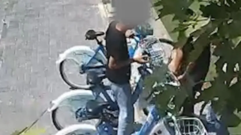 Kaybis araçlarına yapılan vandalizm, yürek sızlatıyor