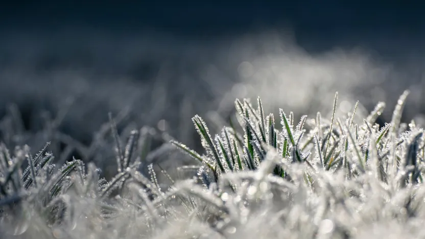 Kayseri'de buzlanma ve don olayı bekleniyor