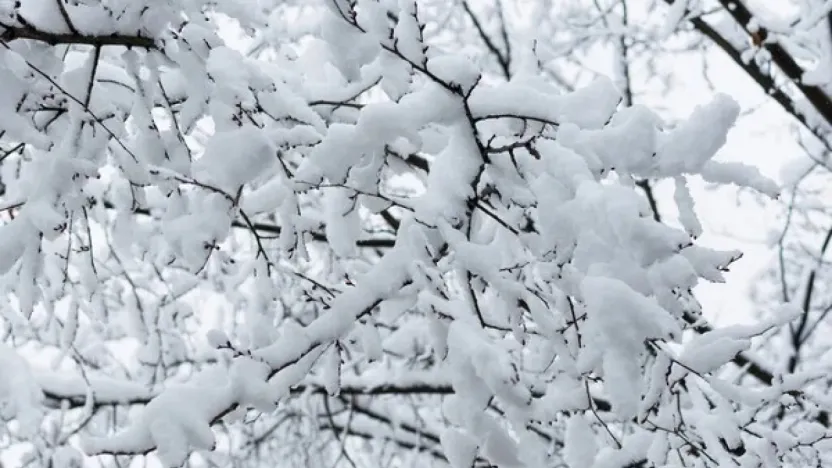 Kayseri'de hafta sonu: Çok bulutlu ve kar yağışlı
