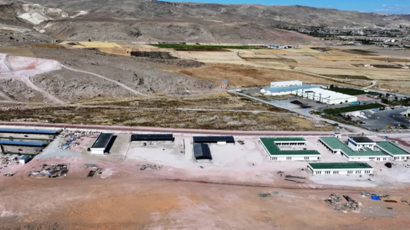 Kayseri'de hiçbir sokak hayvanı açıkta kalmayacak