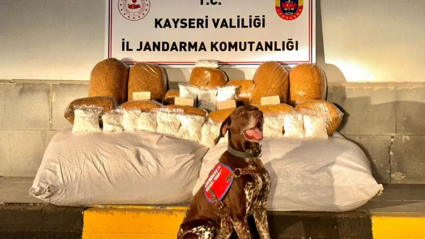 Kayseri'de jandarma ekipleri tarafından son bir ayda 32 kişi yakalandı