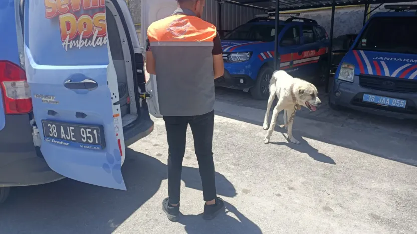 Kayseri'de köpeği bağlayarak aracını çektiren şahsa ceza