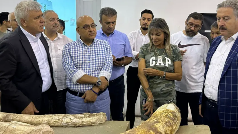 Kayseri Kent Konseyi'nden Fosil Çalışmaları Etkinliği