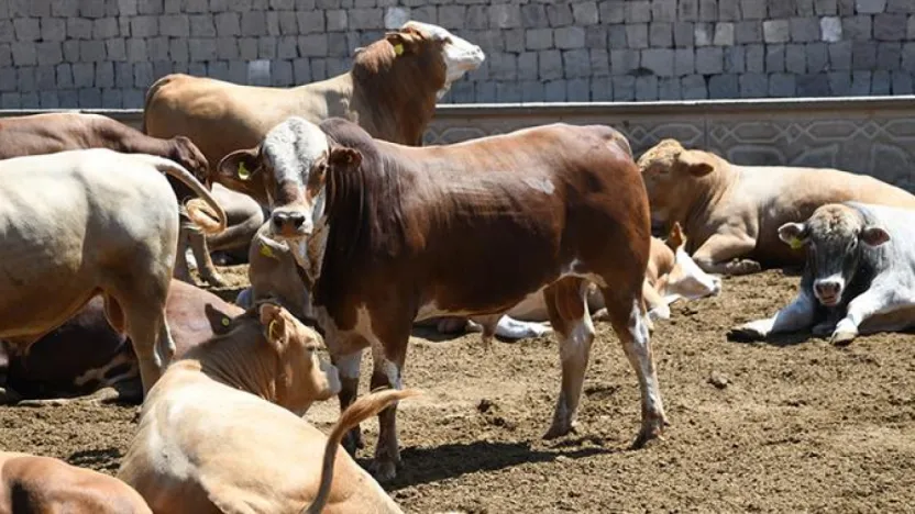 Kayserili besicilerin su faturalarında yüzde 50 indirim