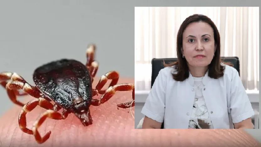 Kene Kâbusu ile ilgili Uyarı: Erciyes Üniversitesi'nden Önemli Açıklama