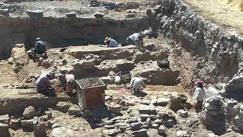 Kültepe'de 4.500 Yıllık Meyve Kuruları Gün Yüzüne Çıktı