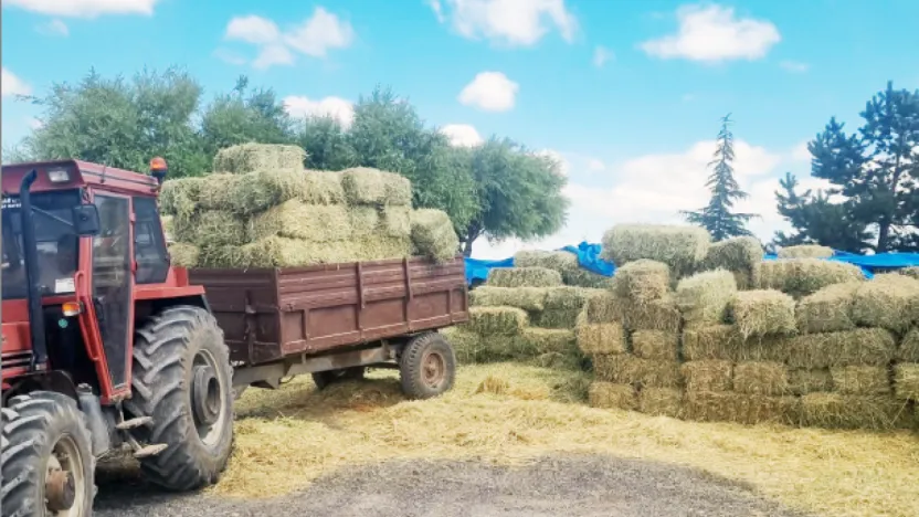 Talas Belediyesi'nden Yerel Üreticiye Yem Desteği