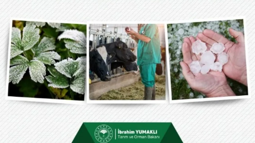 TARSİM ile Eylül ayında 3 milyar 150 milyon TL tarım sigortası ödendi