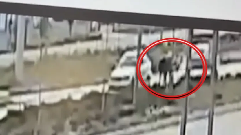 Yaralı köpeğe yardım etmek isteyen 2 kişiye araba çarptı