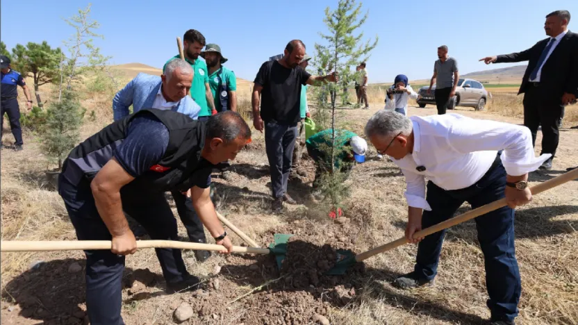 Zabıta Haftası'nda Anlamlı Fidan Dikim Etkinliği