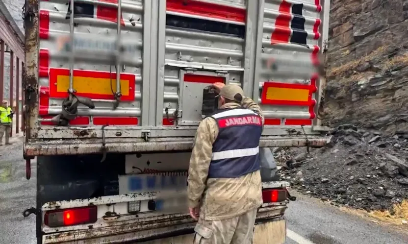 2 bin 386 düzensiz göçmen yakalandı