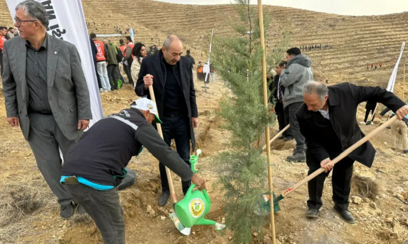 Ali Dağının Zirvesine 1111 Fidan