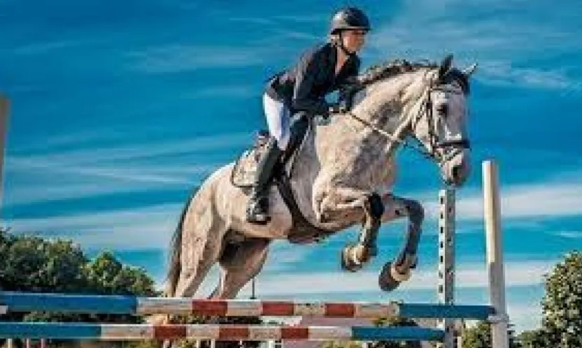 Binicilik meraklıları için kayıtlar başladı