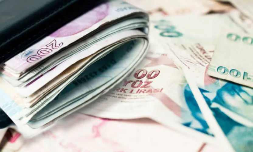 Engelli ve eski hükümlü hibe destekleri artırıldı