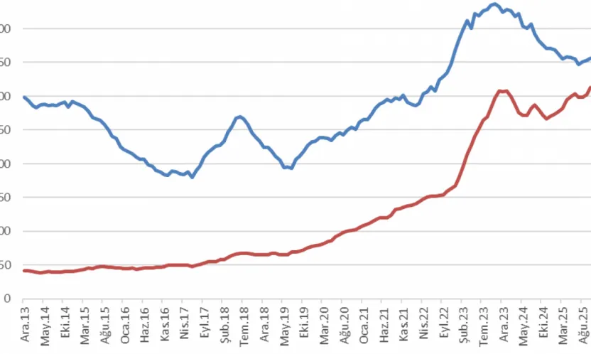 Evcil Hayvan Maması İthalatı, İşlemciyi Geride Bıraktı: Türkiye'nin Ekonomik Öncelikleri Tartışılıyor