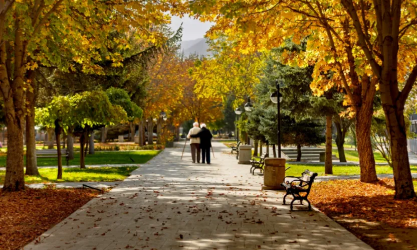 Kayseri Büyükşehir Belediyesi'nden 'Gümüş Yollar' Projesi