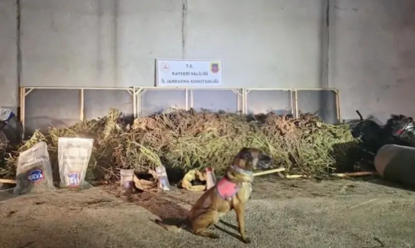 Kayseri dahil 63 ilde operasyon: 1 ton 343 kilogram uyuşturucu madde ele geçirildi