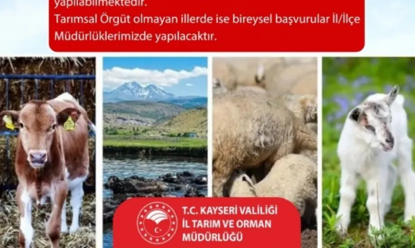Kayseri'de 2025 yılı hayvancılık destekleme başvuruları için son gün 1 Aralık