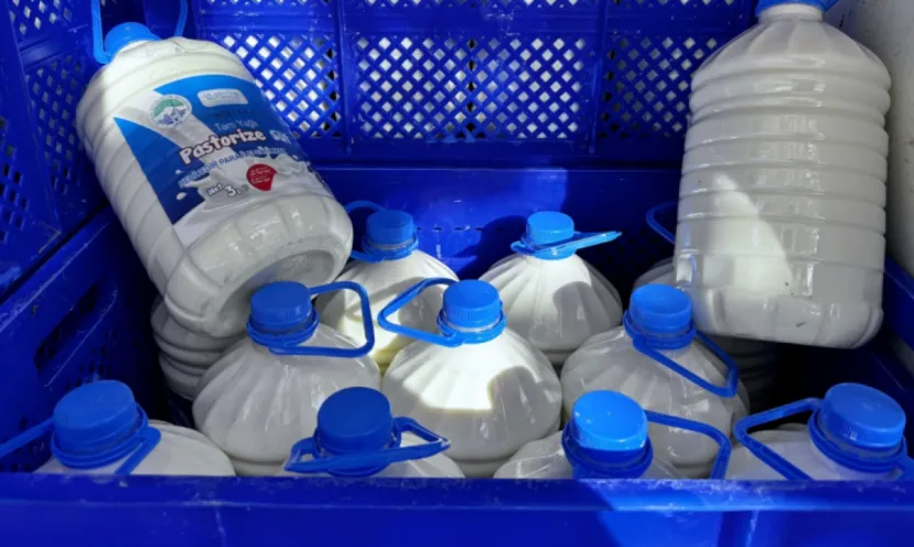 Kayseri'de 22 Milyon TL'yi Aşan Yatırım: Miniklere Süt, Ailelere Destek