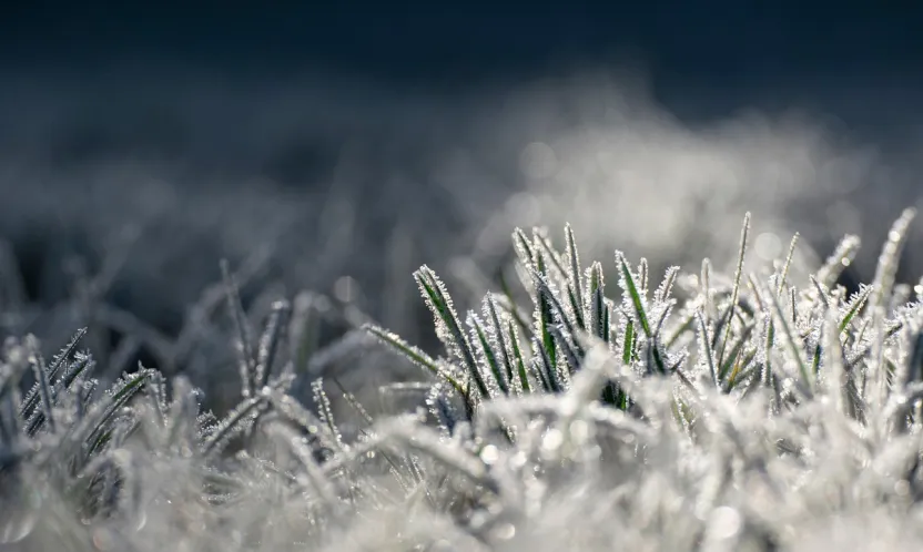 Kayseri'de buzlanma ve don olayı bekleniyor