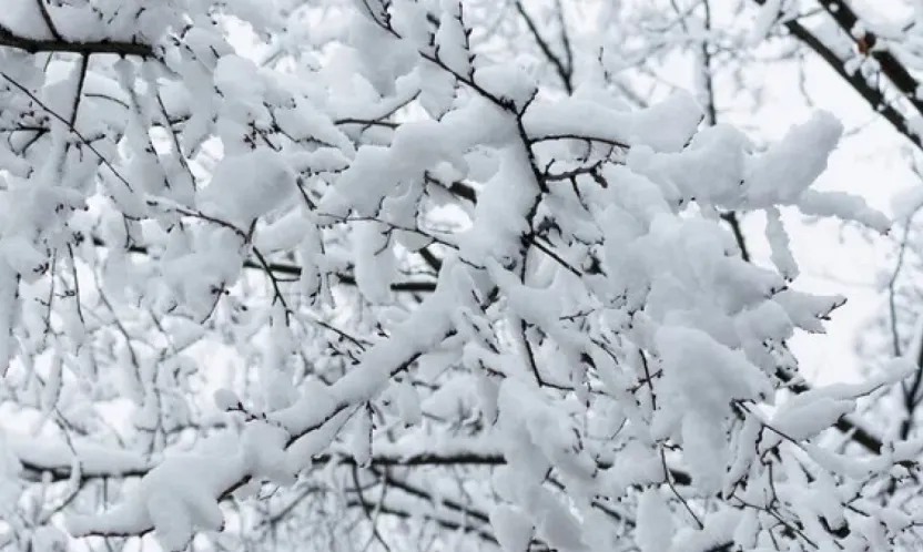 Kayseri'de hafta sonu: Çok bulutlu ve kar yağışlı