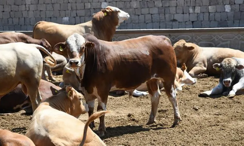 Kayserili besicilerin su faturalarında yüzde 50 indirim