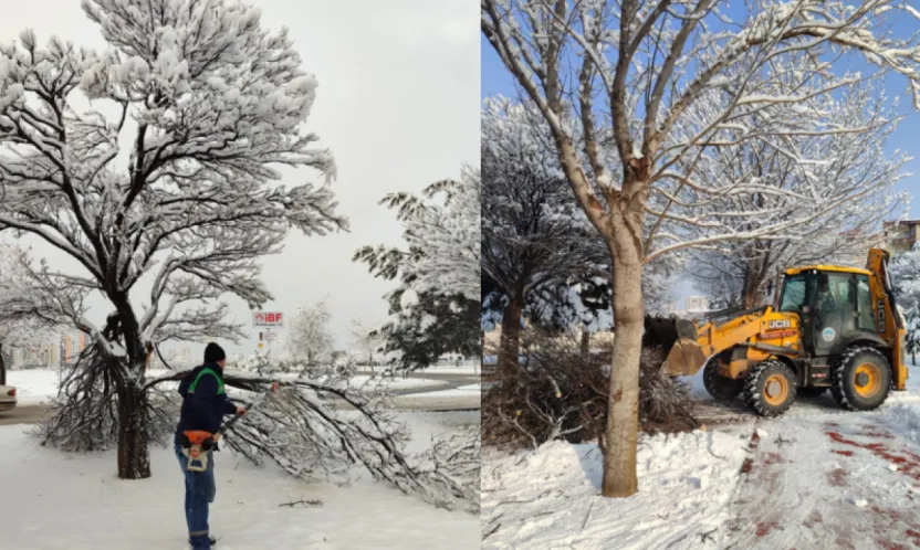 Kış Çalışmalarında Ağaç Güvenliği Seferberliği