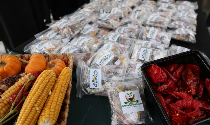 Kocasinan'da tarıma 22 bin 500 ata tohumu desteği