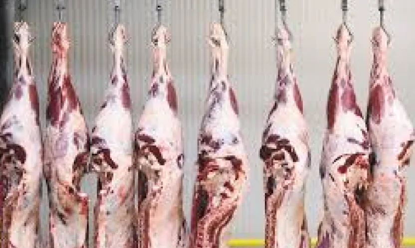 KTB duyurdu: 'Sığır karkas kesim standartlarında önemli değişiklikler yapıldı'