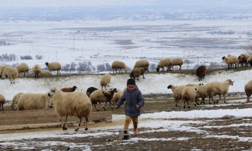 Meteoroloji uyardı: 'Hayvanların güvenli bölgelere getirilmesi önemli'