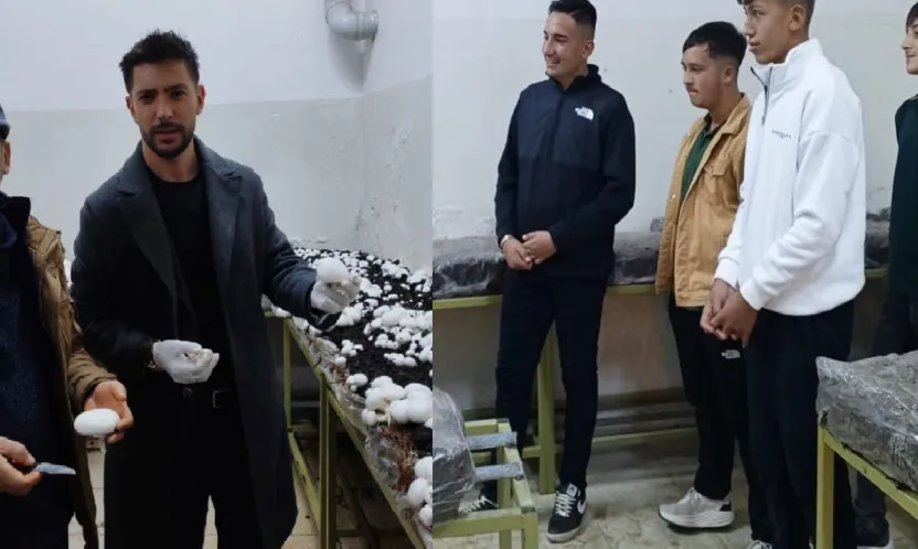 Sarız'da tarım öğrencileri mantar üretti