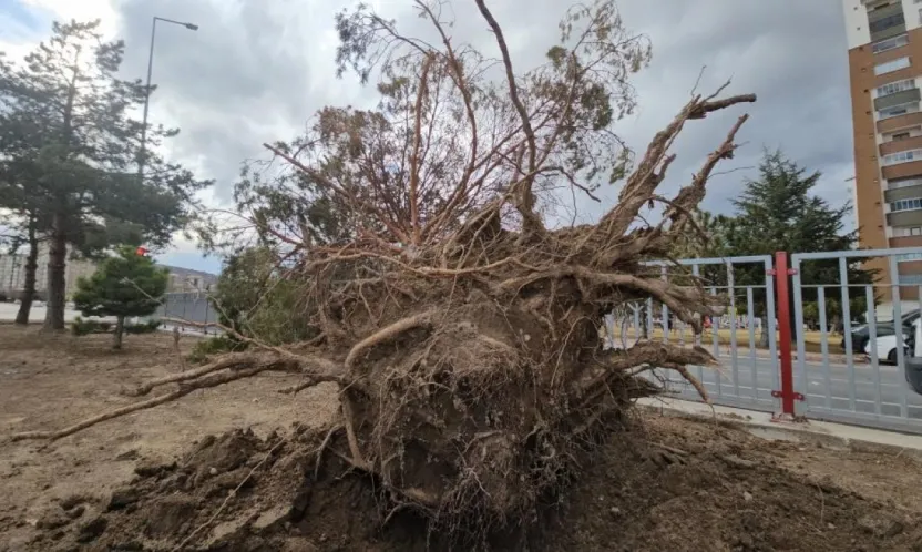 Uçan Çatılar, Sökülen Ağaçlar: İtfaiye 32 olaya müdahale etti