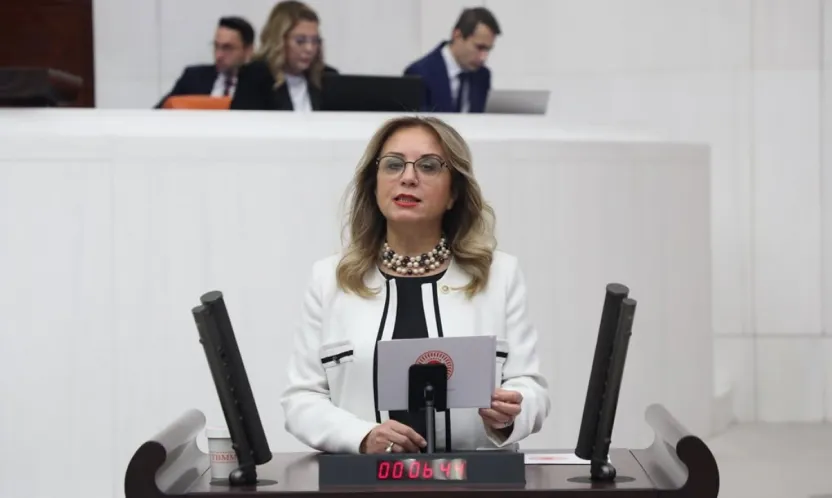 Vekil Kılıç 'Kapadokya'nın arkeolojik mirası yalnız Nevşehir değil, Kayseri'yi de kapsamaktadır'